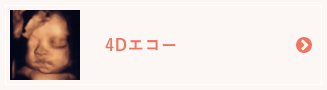 4Dエコー